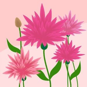 Meet your Posher, Rachel.